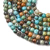 Natural African Turquoise(Jasper) Beads Strands G-K366-G01-2mm-4