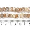 Natural Multi-Moonstone Beads Strands G-G053-C11-01-5