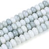 Glass Beads Strands GLAA-N059-5x8mm-41-1