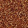 8/0 Glass Seed Beads SEED-A005-3mm-22C-3