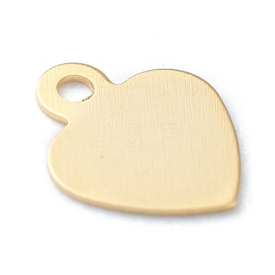 304 Stainless Steel Charms STAS-H149-19G-1