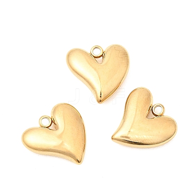 304 Stainless Steel Charms STAS-P441-02G-1