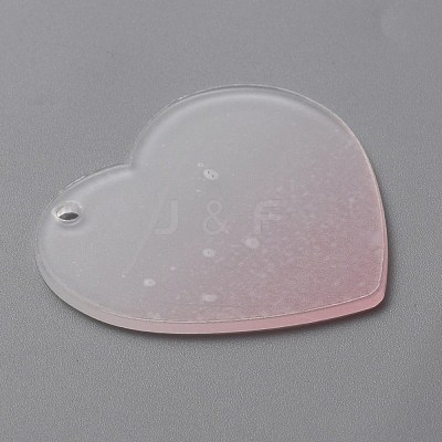 Gradient Transparent Acrylic Disc Big Pendants LS-FIND-WH0032-54B-1