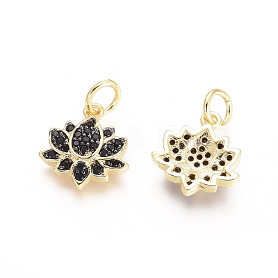 Brass Micro Pave Cubic Zirconia Charms ZIRC-G161-22-1
