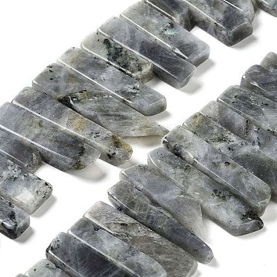 Natural Labradorite Beads Strands G-L551B-06-1