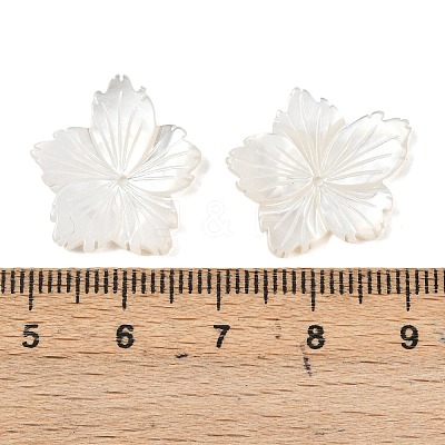 Natural White Shell Carved Beads SSHEL-B006-06-1
