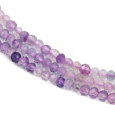 Natural Fluorite Beads Strands G-F789-01-2mm-1