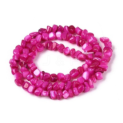 Natural Freshwater Shell Beads Strands SHEL-N037-04E-1