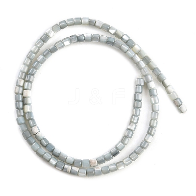 Natural Trochid Shell/Trochus Shell Bead Strands SSHEL-N034-77-C01-1
