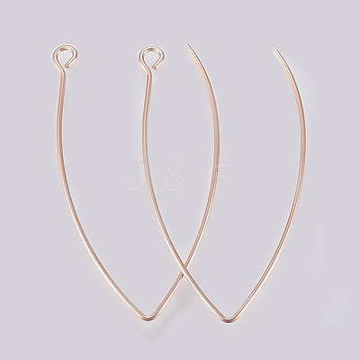 Ion Plating(IP) 304 Stainless Steel Earring Hooks X-STAS-K184-05-01RG-1
