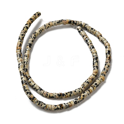 Natural Dalmatian Jasper Beads Strands G-E612-A01-B-1