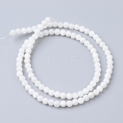Natural Freshwater Shell Bead Strands X-SHEL-S249-29-1