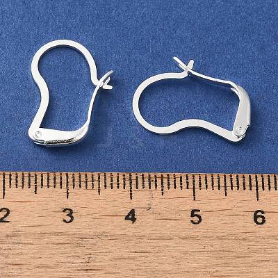 Brass Hoop Earring Findings FIND-Z039-30S-1