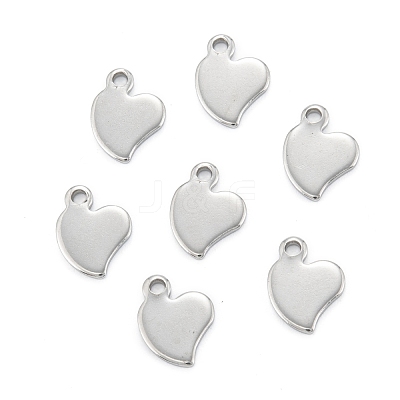 Non-Tarnish 304 Stainless Steel Charms STAS-K218-02P-1