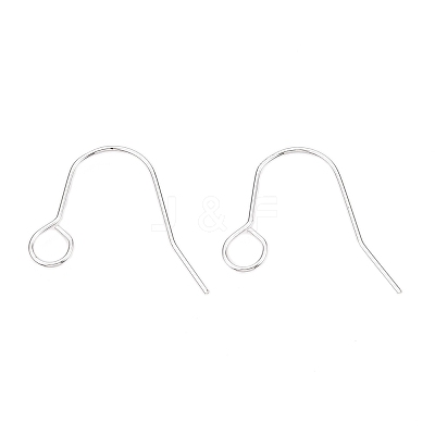 304 Stainless Steel Earring Hooks STAS-B047-31S-1