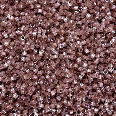 MIYUKI Delica Beads SEED-X0054-DB1879-1