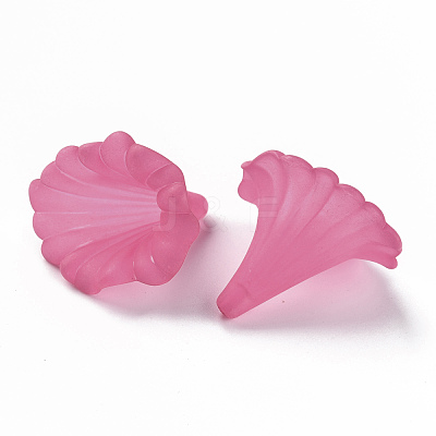 Transparent Acrylic Beads BSF796-C16-1