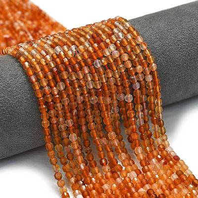 Natural Carnelian Beads Strands G-A260-A20-01-1