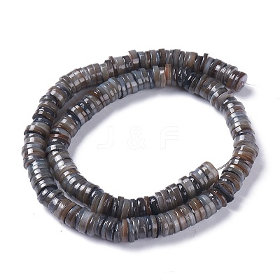 Natural Freshwater Shell Beads Strands X-BSHE-I016-04A-1