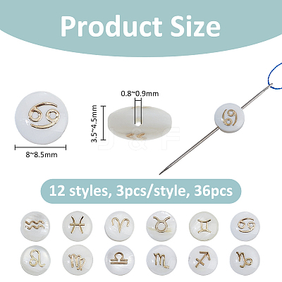 36Pcs 12 Styles Natural White Shell Beads SHEL-FH0001-27-1