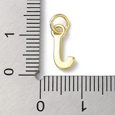 Rack Plating Brass Charms KK-P245-06G-J-1