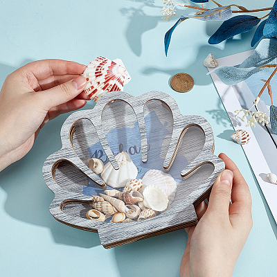 Shell Shape Wooden Jewelry Display Cases with Visible Window ODIS-SP0001-14B-1