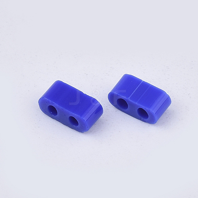 FGB 2-Hole Glass Seed Beads X-SEED-S031-M-048-1