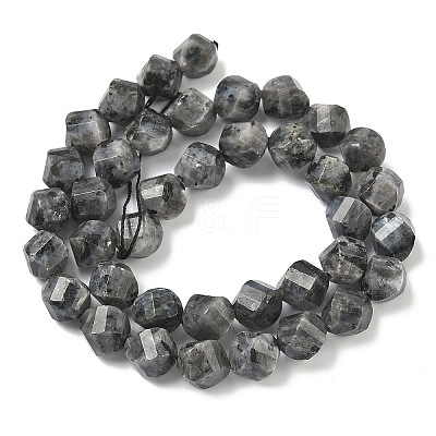 Natural Larvikite Beads Strands G-C267-B24-1