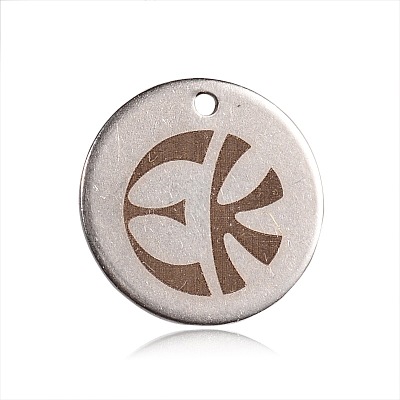 Non-Tarnish Spray Painted 201 Stainless Steel Charms STAS-F092-06P-1