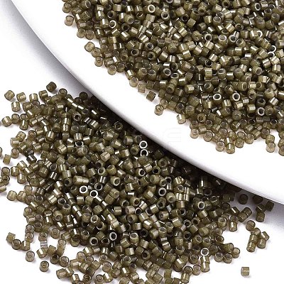 FGB 11/0 Grade A Glass Seed Beads SEED-S030-1148-1
