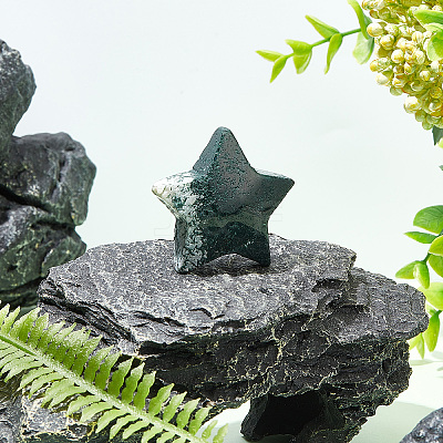 Natural Moss Agate Home Display Decorations DIY-WH0410-63A-1