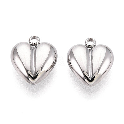 304 Stainless Steel Charms STAS-T065-80P-1
