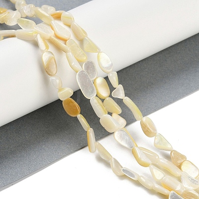 Natural Trochus Shell Beads Strands BSHE-H109-05-1