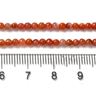 Natural South Red Agate Beads Strands G-B090-A04-03-1