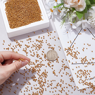 100G Glass Seed Beads SEED-SP0001-12A-01-1