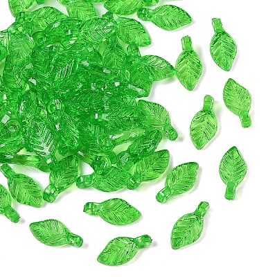 Transparent Acrylic Charms TACR-F009-11E-1