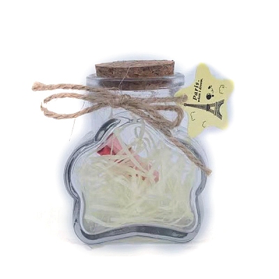 Glass Empty Wishing Bottle PW-WG93785-03-1