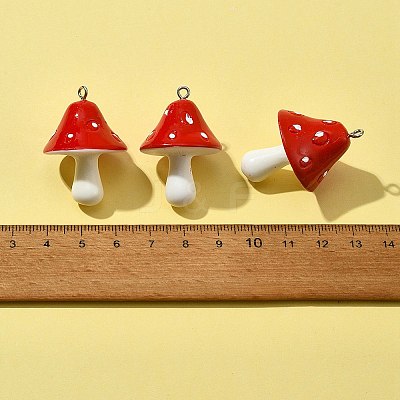 10Pcs Opaque Resin Pendants RESI-FS0001-63-1