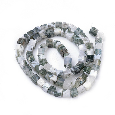 Natural Tree Agate Beads Strands X-G-R451-02-1