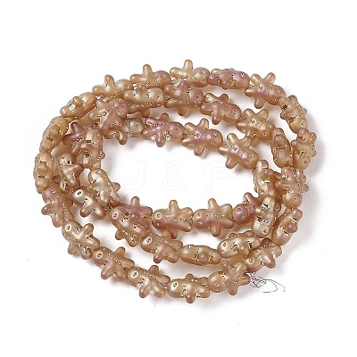 Full Rainbow Plated Forsted Electroplate Glass Beads X-GLAA-P005-FR02-1