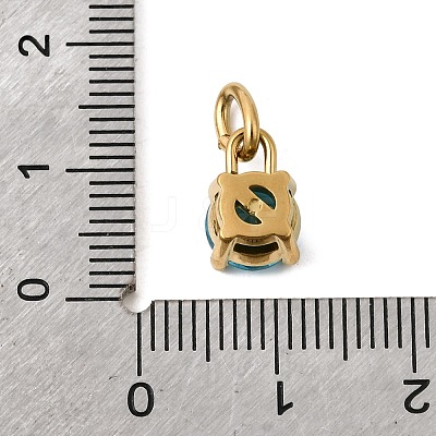 Birthdaystone Theme December 304 Stainless Steel Charms STAS-B128-60G-12-1