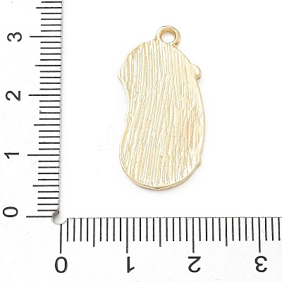 Alloy Enamel Pendants AL-CBABBF0-04G-1