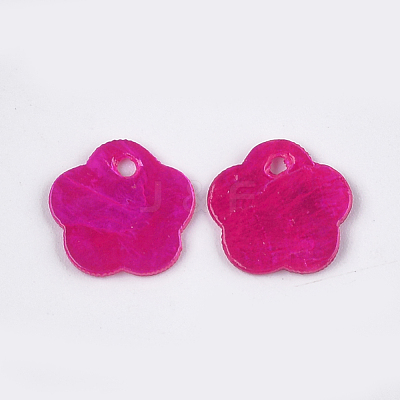 Spray Painted Capiz Shell Charms SSHEL-T006-08-1
