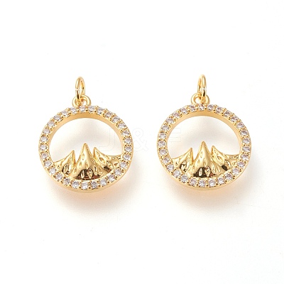 Brass Micro Pave Clear Cubic Zirconia Charms ZIRC-L098-025G-1