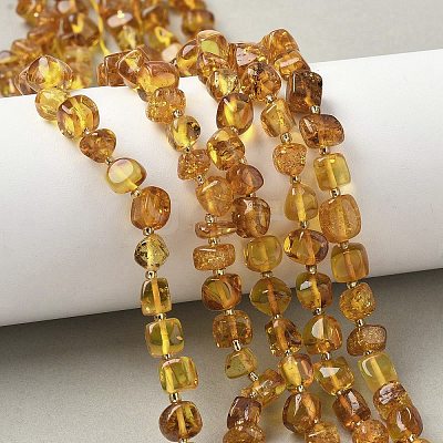 Natural Amber Beads Strands G-L095-E01-07-1