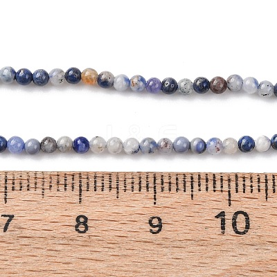 Natural Blue Spot Jasper Beads Strands G-Z116-A02-2mm-1