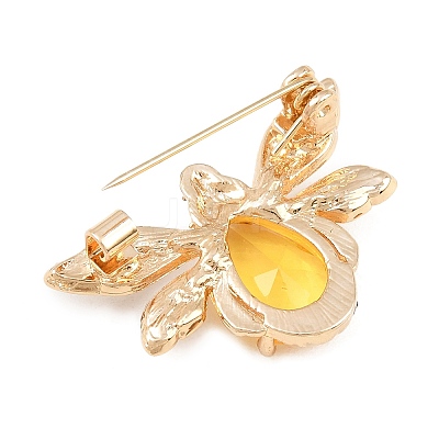 Alloy Rhinestone Lapel Pin Brooches for Backpack Clothes RB-CBA2419-01G-1