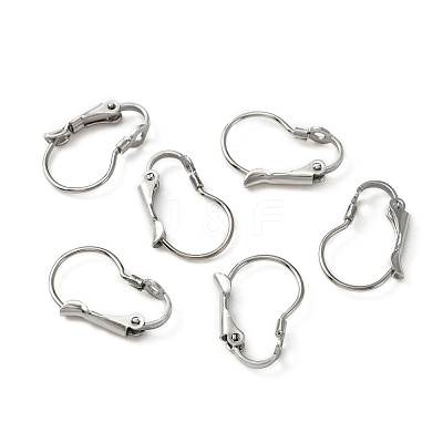 316 Surgical Stainless Steel Leverback Earring Findings STAS-WH0022-73A-1