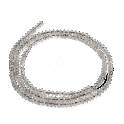 Natural Labradorite Beads Strands GG-CBAA9B4-A06-02-1