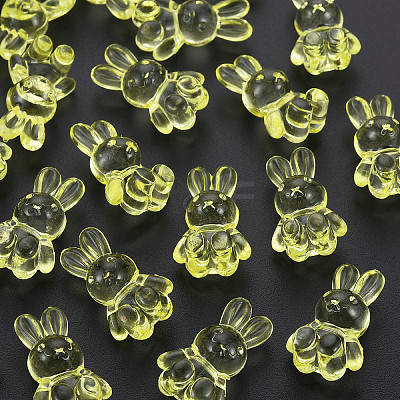 Transparent Acrylic Beads LS-MACR-S373-81-B06-1